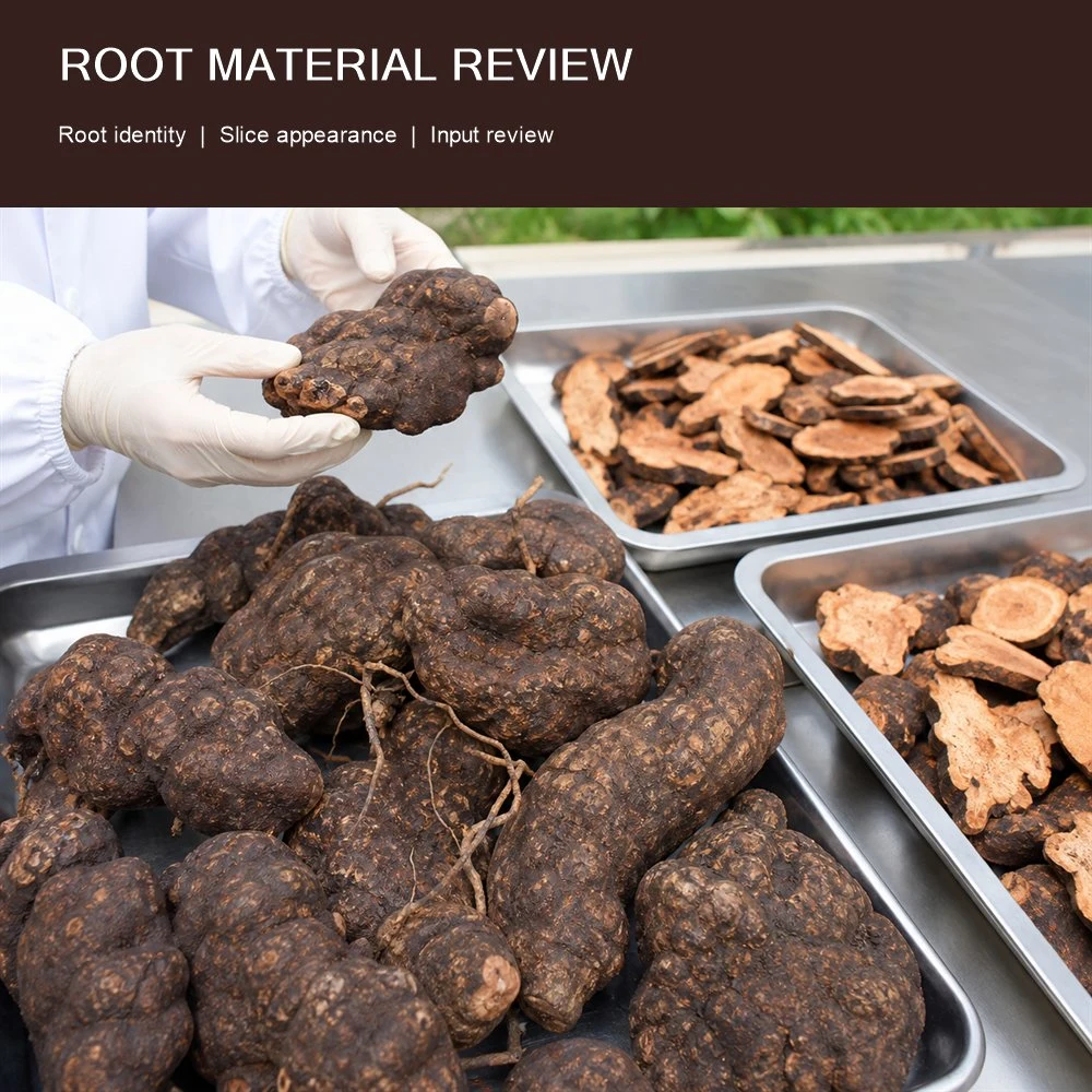 Polygonum Multiflorum Root Extract ingredient and specification presentation