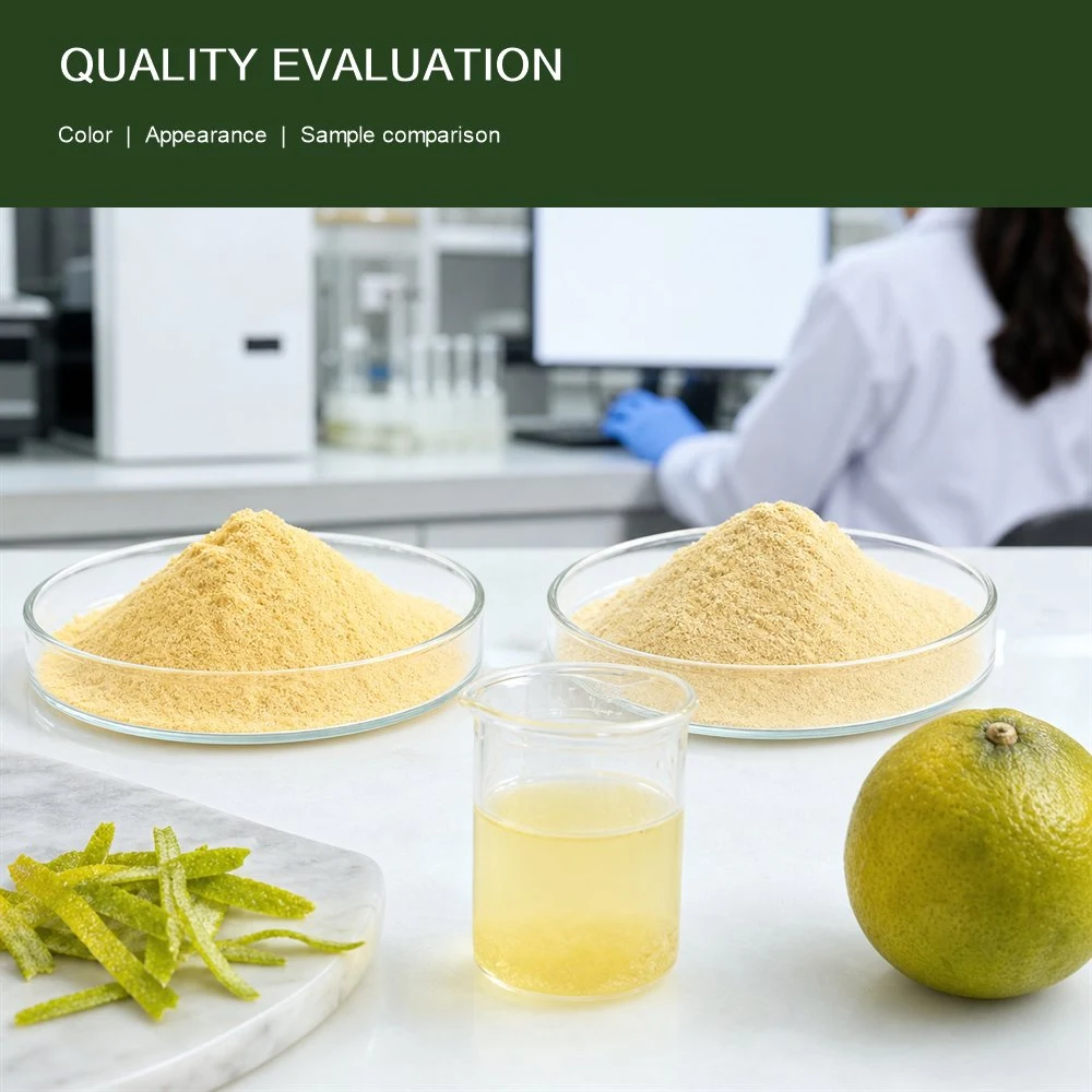 Citrus Bergamia Fruit Extract packaging and supply presentation