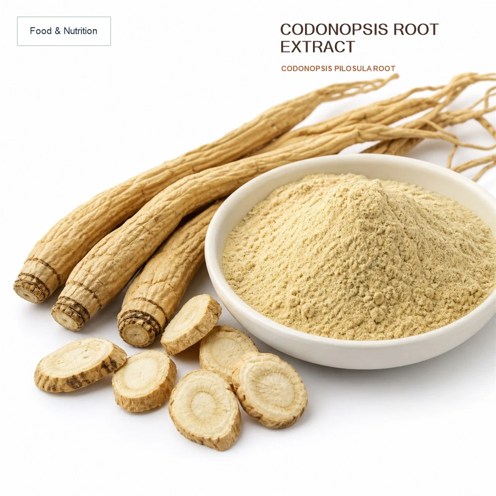 Codonopsis Root Extract for Botanical Ingredient Sourcing