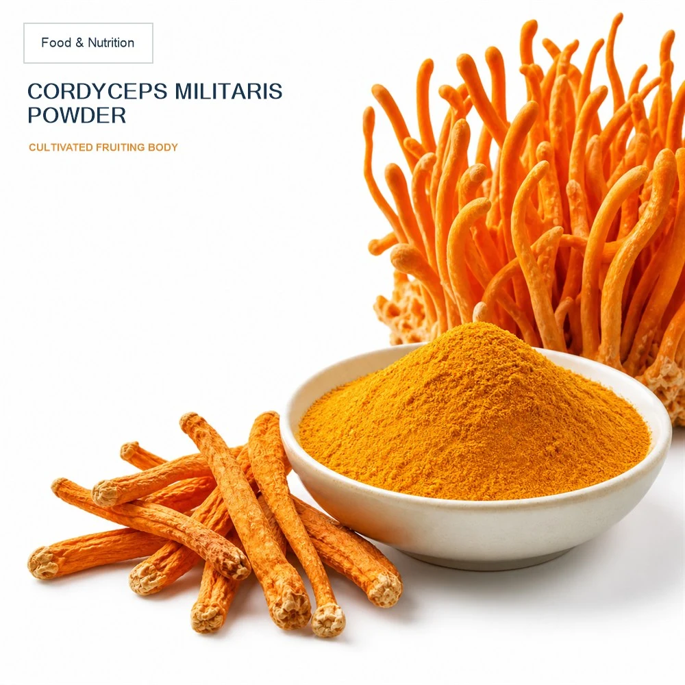 Cordyceps Mushroom Powder for Botanical Ingredient Sourcing