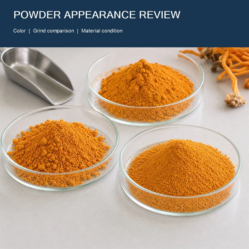 Cordyceps Mushroom Powder product format presentation