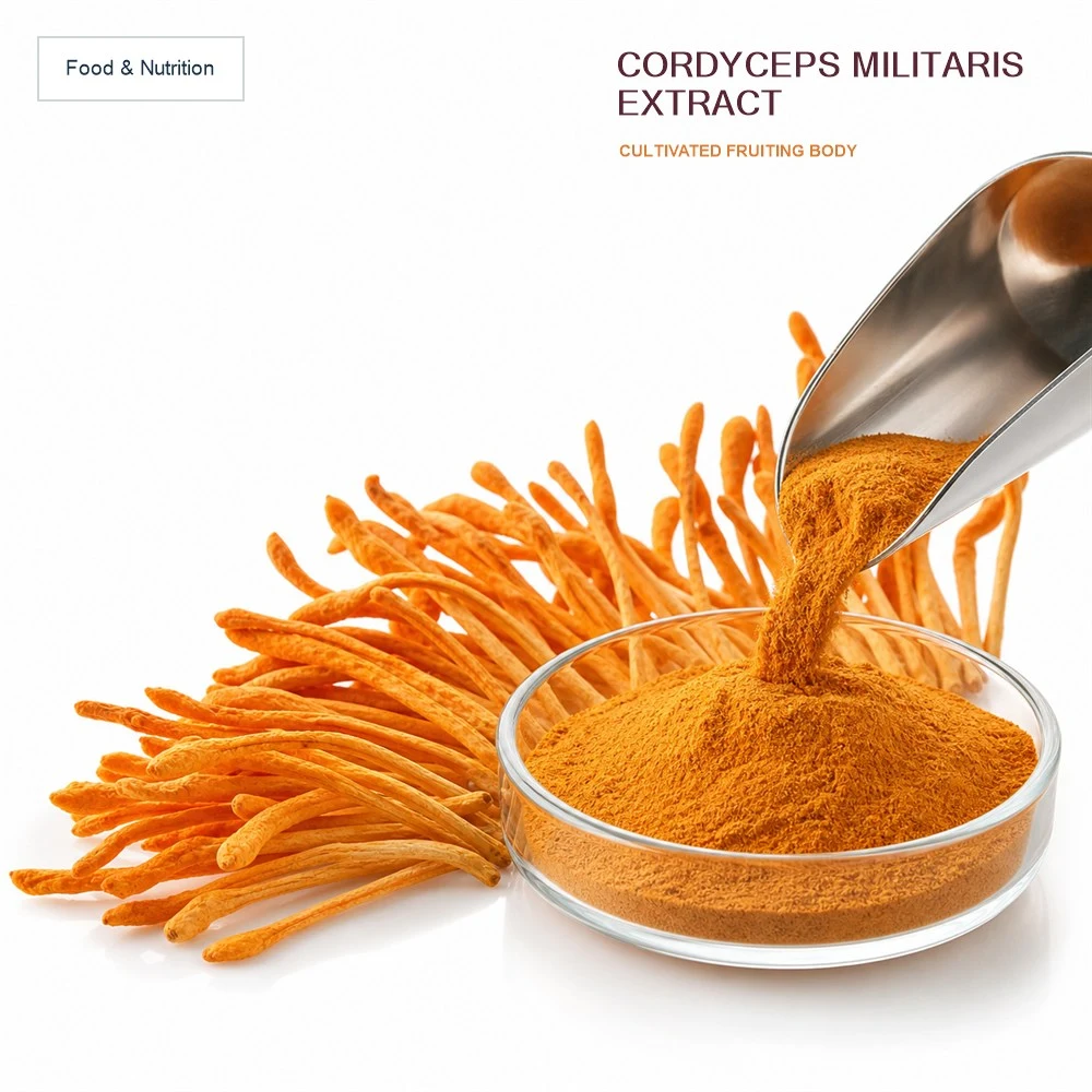 Cordyceps Extract for Botanical Project Review