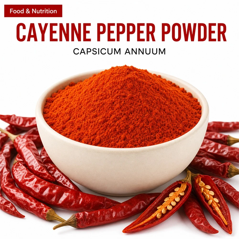 Cayenne Pepper Powder for Botanical Projects