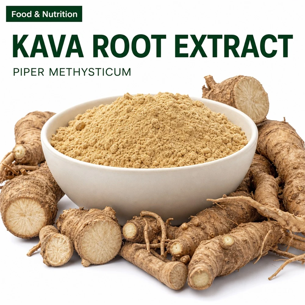 Kava Root Extract for Botanical Ingredient Sourcing