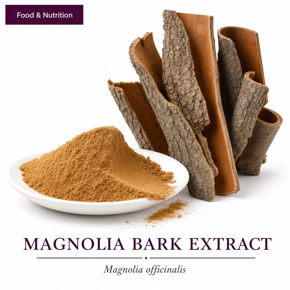 Magnolia Bark Extract for Botanical Ingredient Sourcing