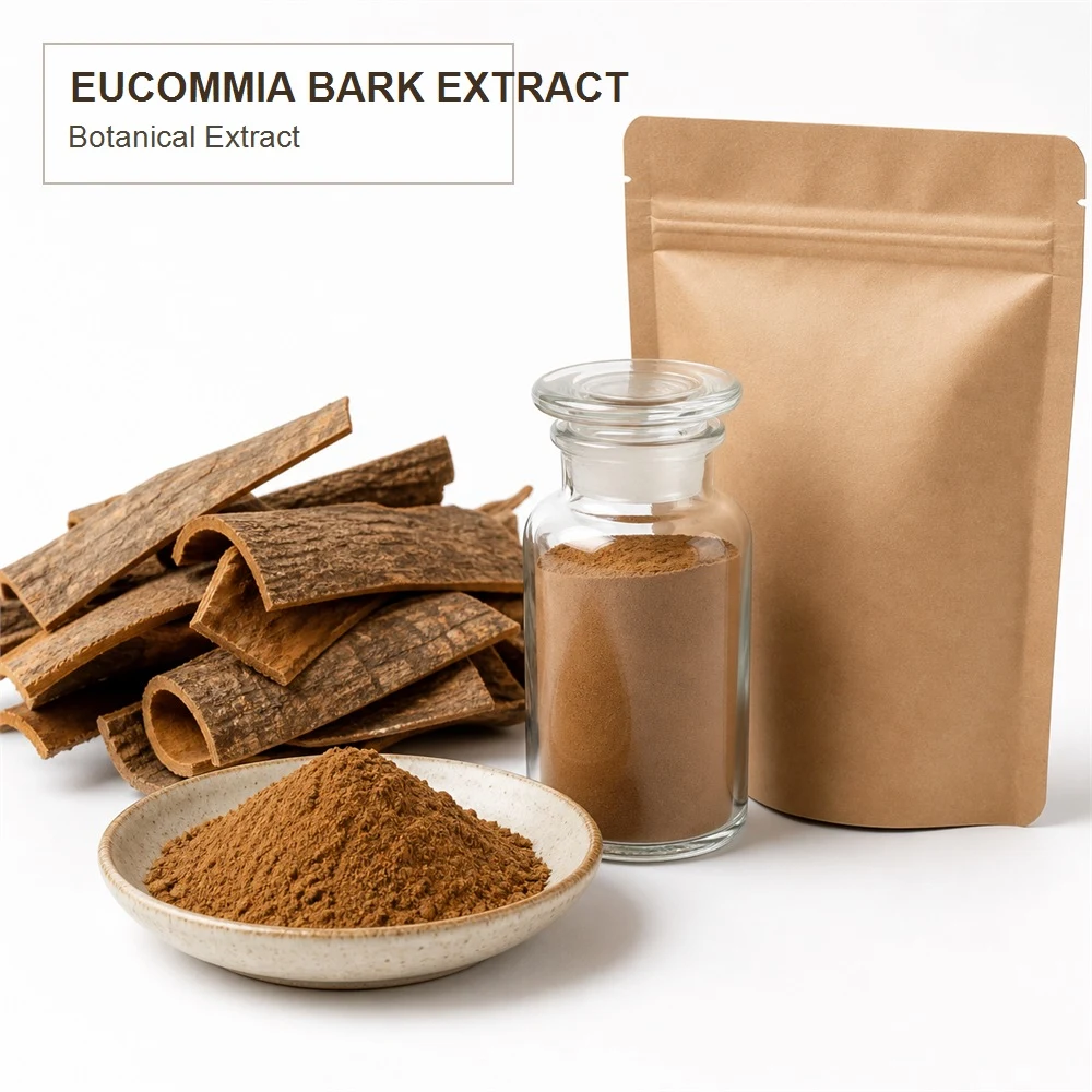 Eucommia Bark Extract for Botanical Project Review