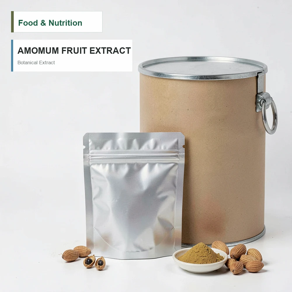 Amomum Villosum Fruit Extract for Botanical Project Review