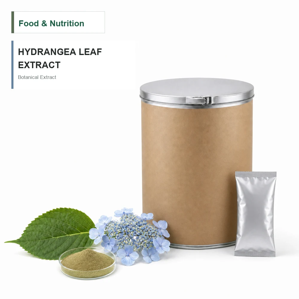 Hydrangea Leaf Extract for Botanical Project Review
