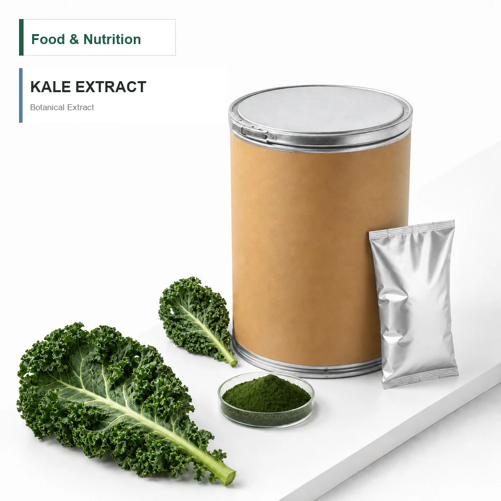 Kale Extract for Botanical Project Review