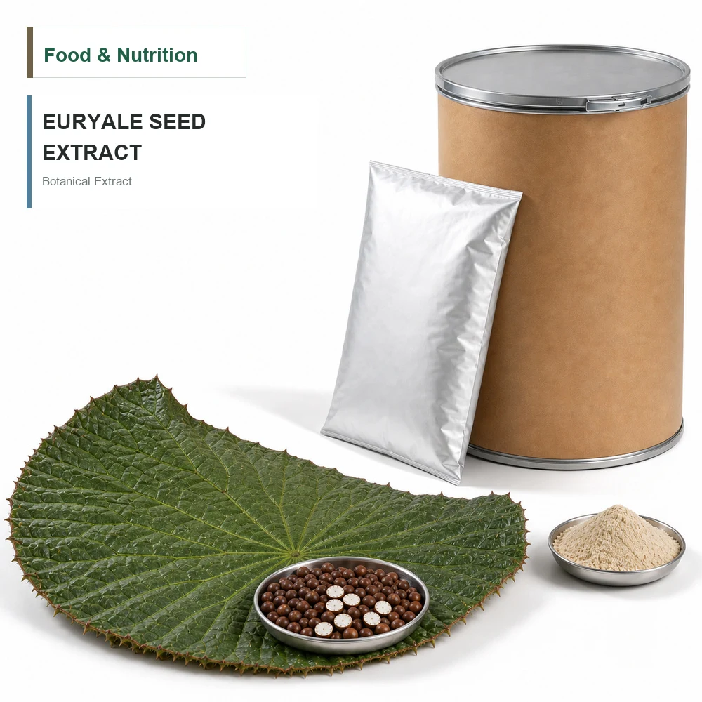 Euryale Seed Extract for Botanical Project Review