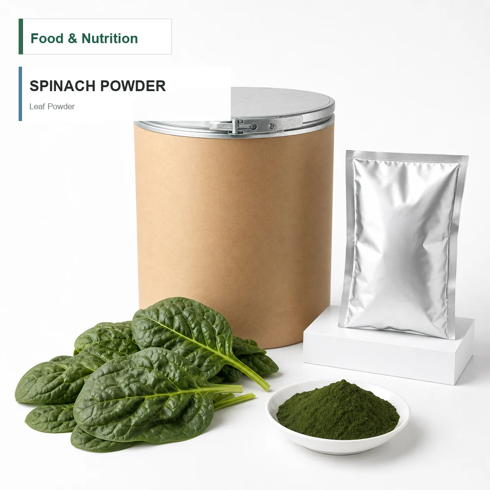 Spinach Powder for B2B Project Review