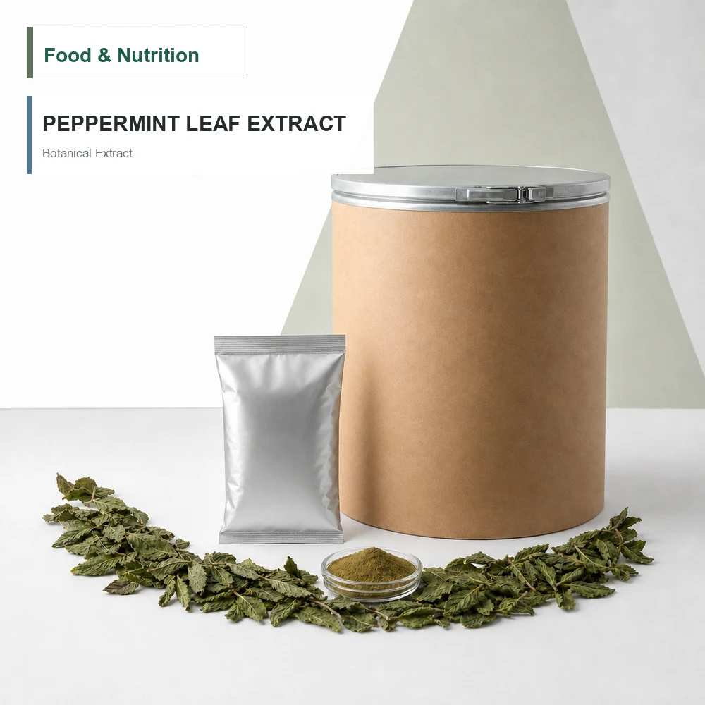 Peppermint Leaf Extract for B2B Project Review