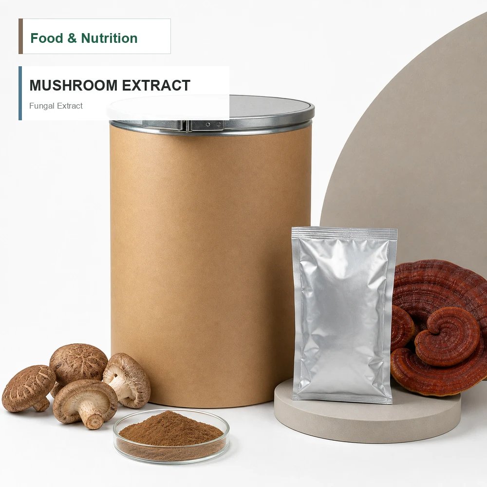 Mushroom Extract for B2B Project Review