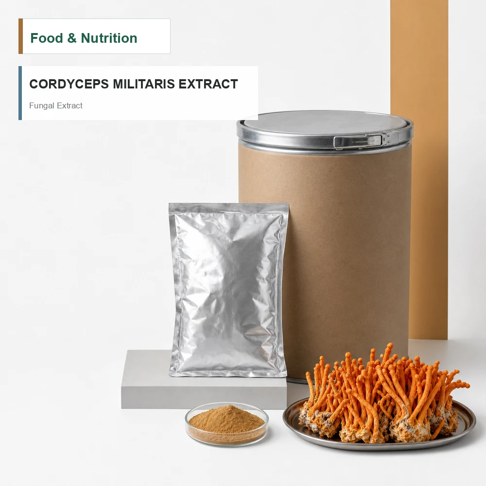 Cordyceps Mycelium Extract for B2B Project Review