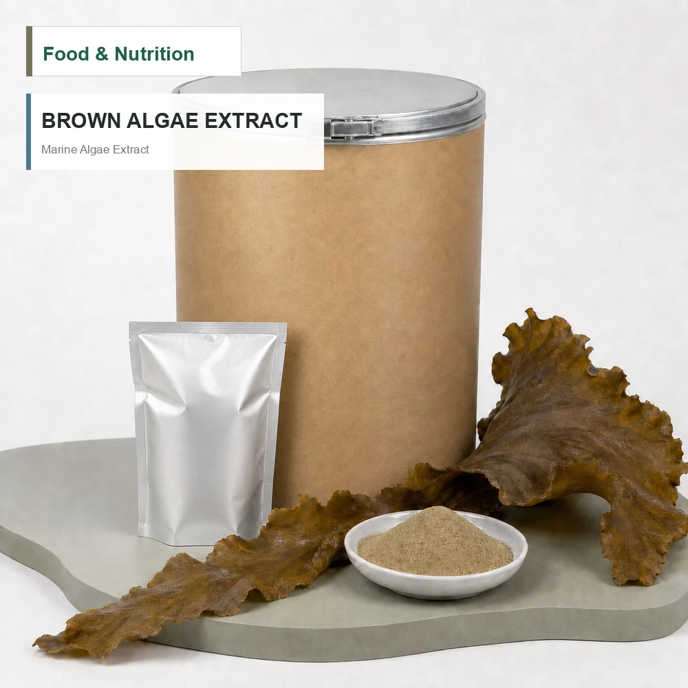 Brown Algae Extract for B2B Project Review
