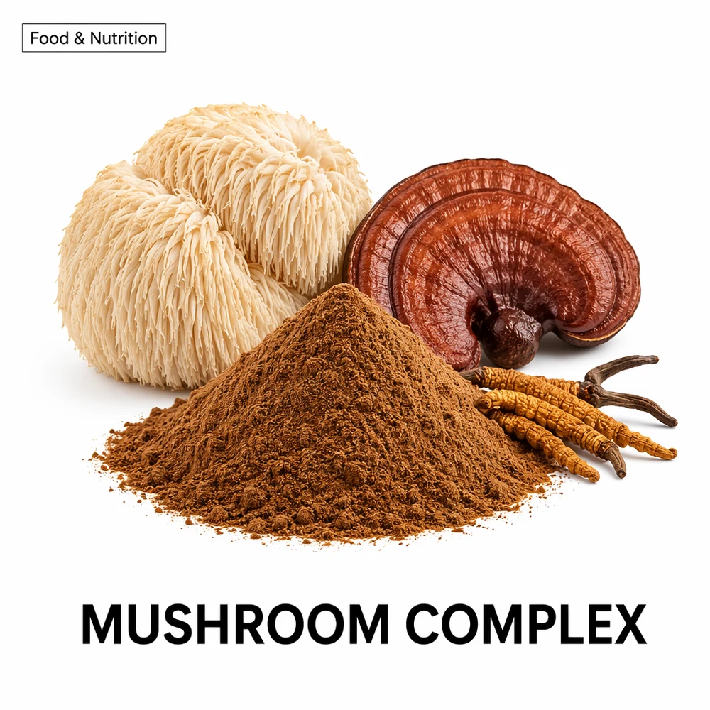 Multi-Mushroom Extract Blend for B2B Project Review