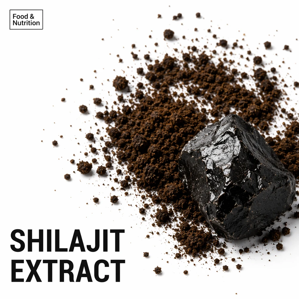 Shilajit Extract for B2B Project Review