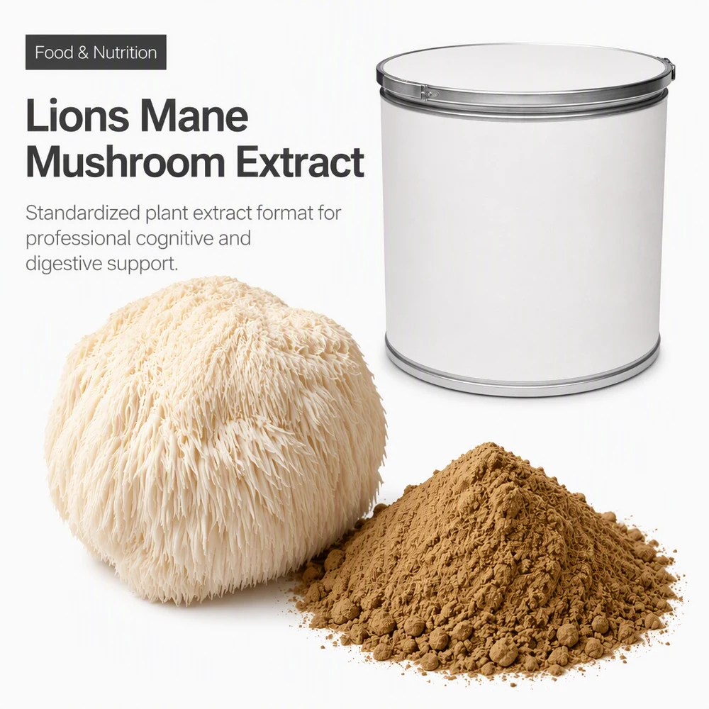 Lion's Mane Mushroom Extract for B2B Project Review