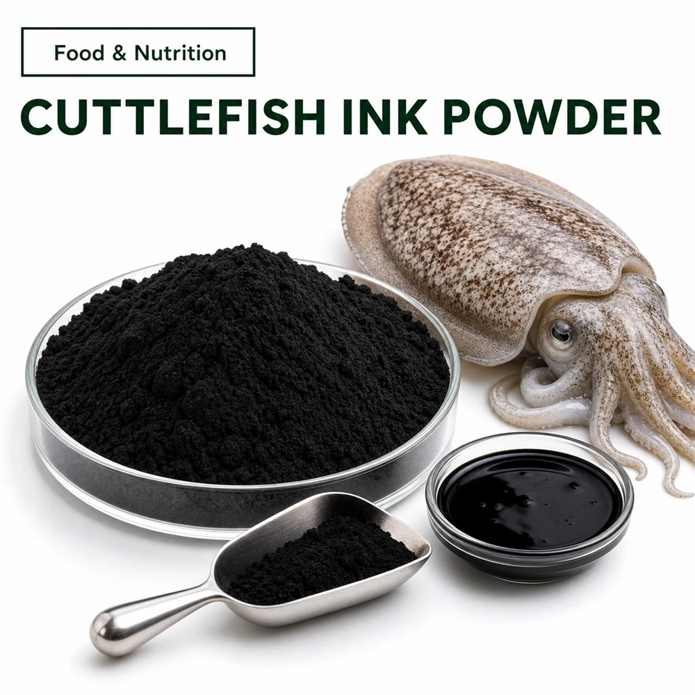 Cuttlefish Powder for Food Ingredient Project Review