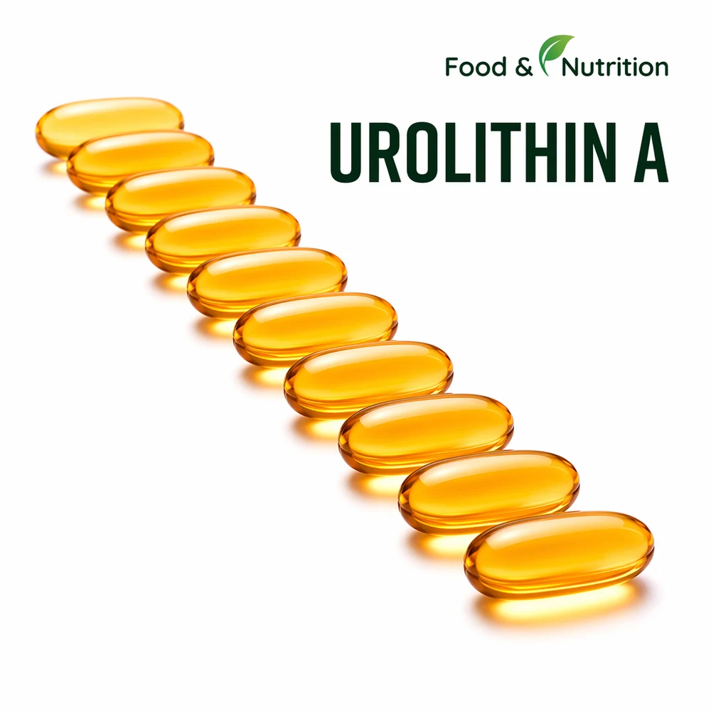 Liposomal Urolithin A for B2B Project Review