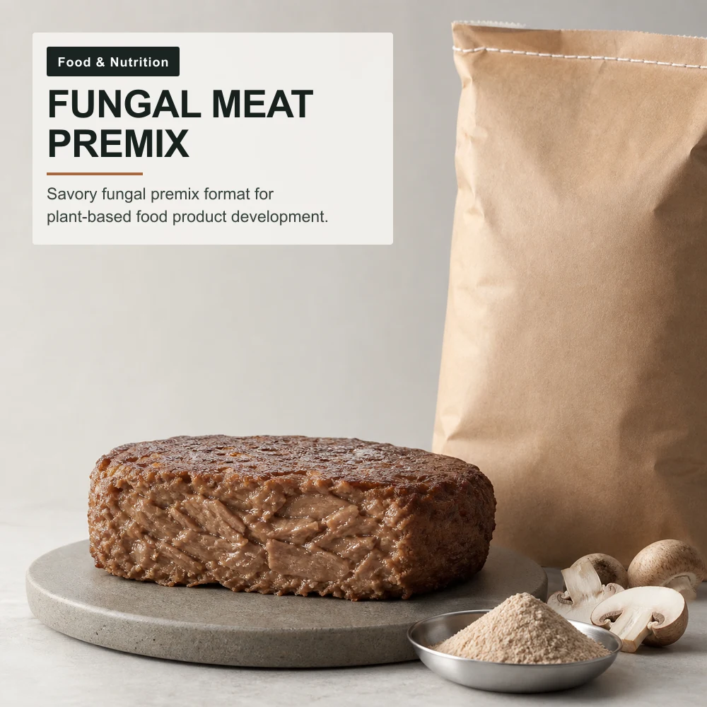 Fungi-Based Plant Meat Premix Manufacturing Service for B2B Project Review
