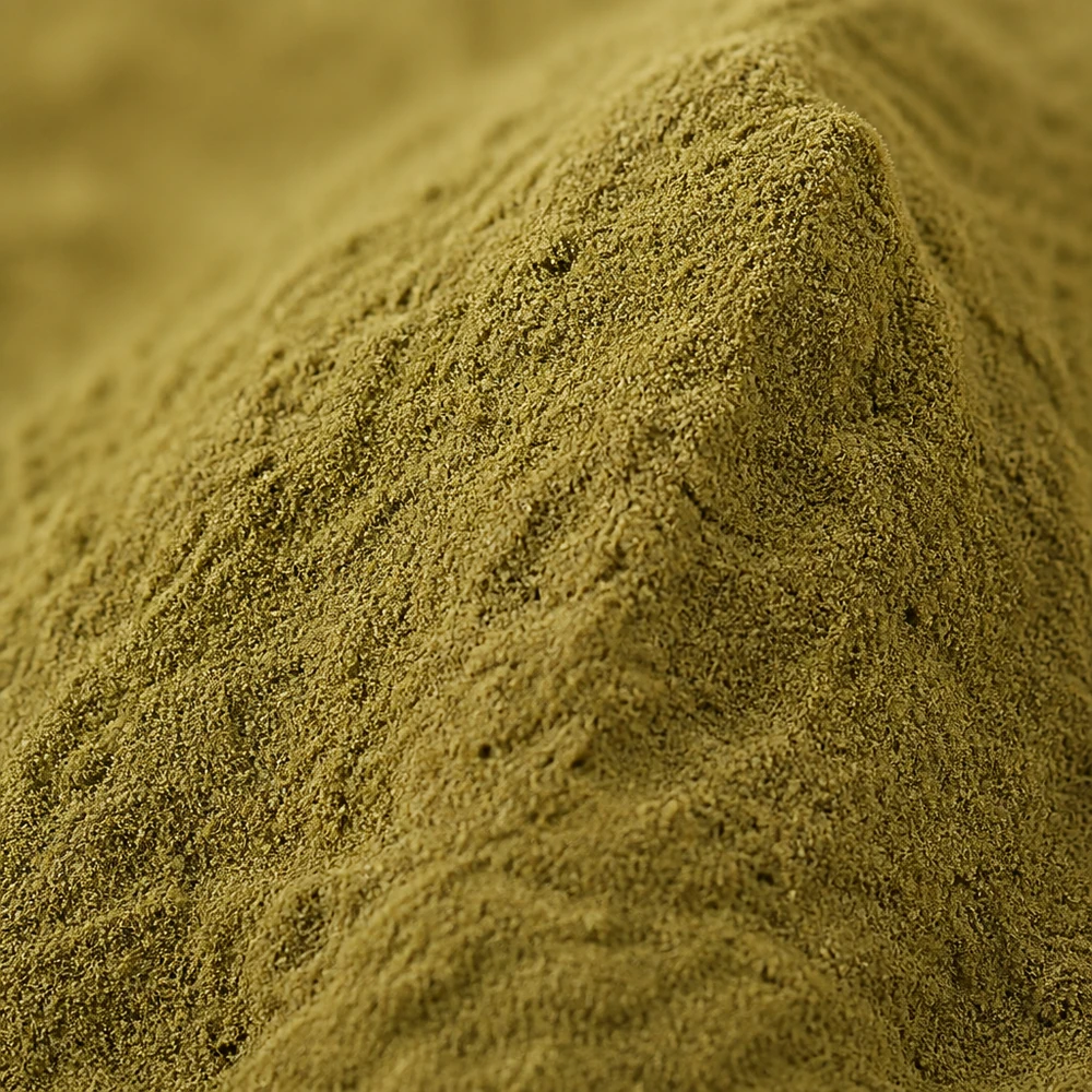 Bacopa Monnieri Extract Standardized to 50% Saponins for Nutrition Formulations product format presentation