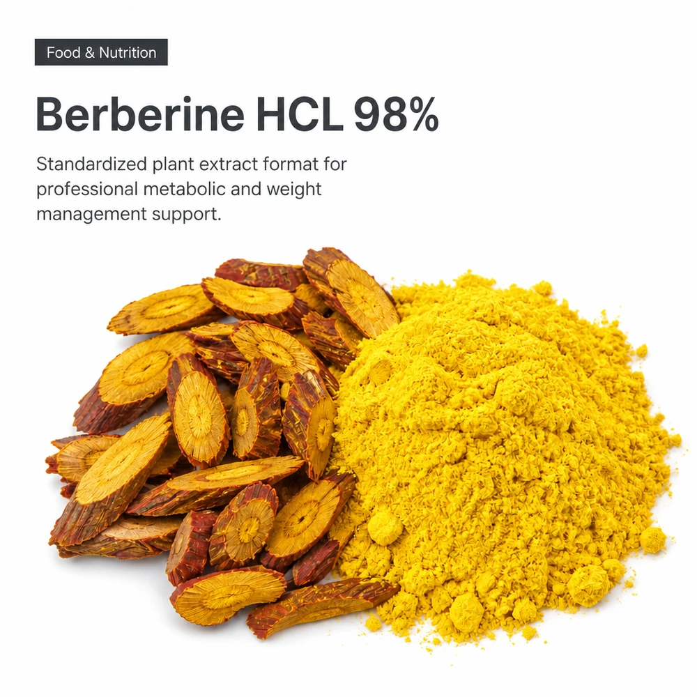 Berberine Hydrochloride 98% Powder for Botanical Ingredient Sourcing