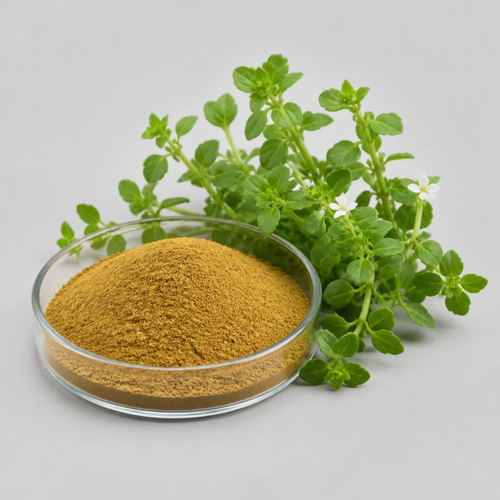 Standardized Bacopa Monnieri Extract with 50% Saponins for Bulk Sourcing ingredient and specification presentation