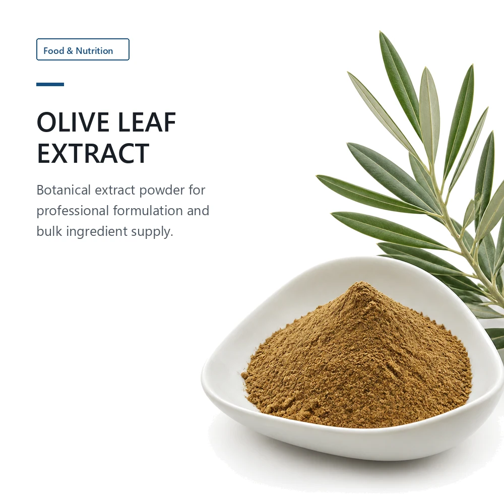 Olive Leaf Extract 40% Oleuropein for B2B Project Review
