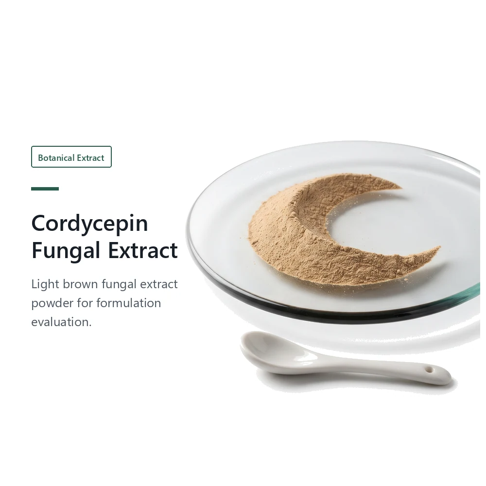 Cordycepin 1% Fungal Extract for B2B Project Review
