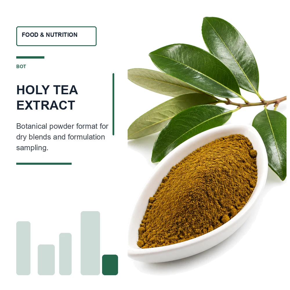 Holy Tea Extract for B2B Project Review