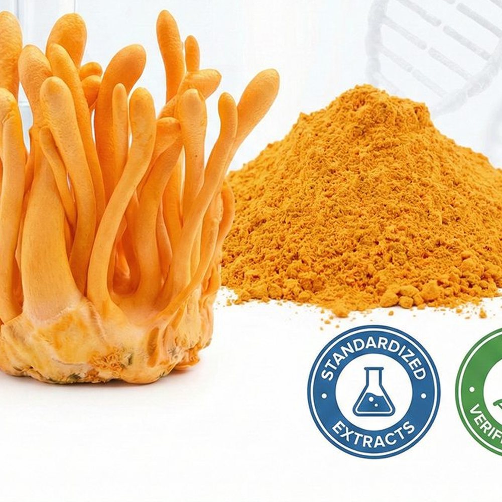 Cordyceps Mycelium Powder