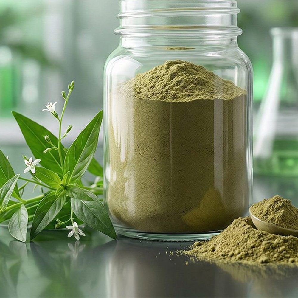 穿心莲提取物 Botanical Ingredient