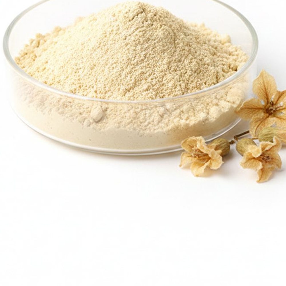 葛根花提取物 Botanical Ingredient
