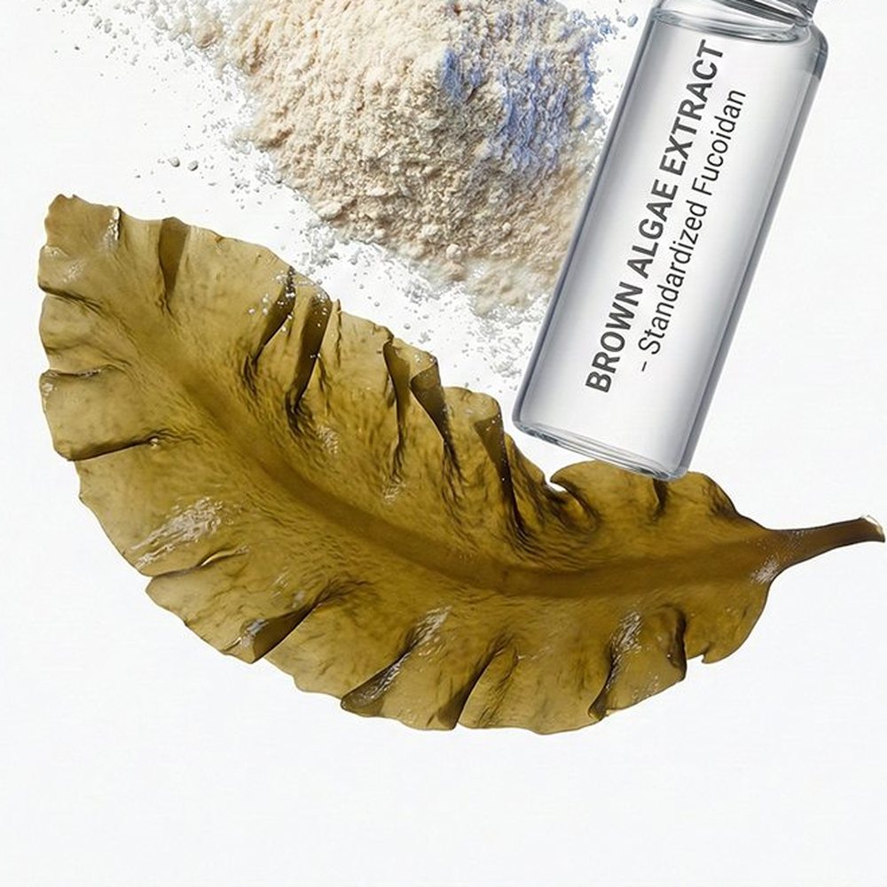 褐藻提取物 Botanical Ingredient