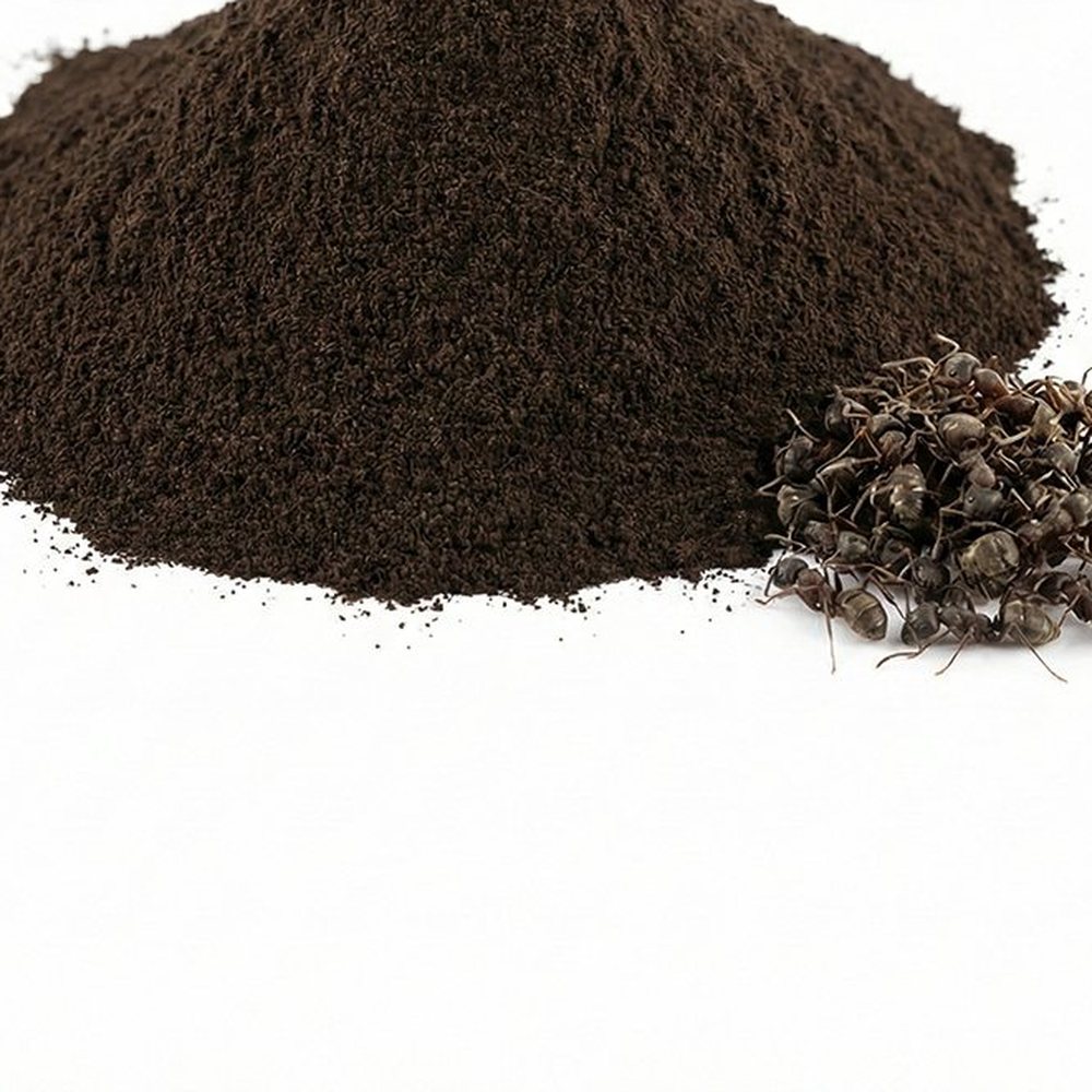 黑蚂蚁提取物 Botanical Ingredient