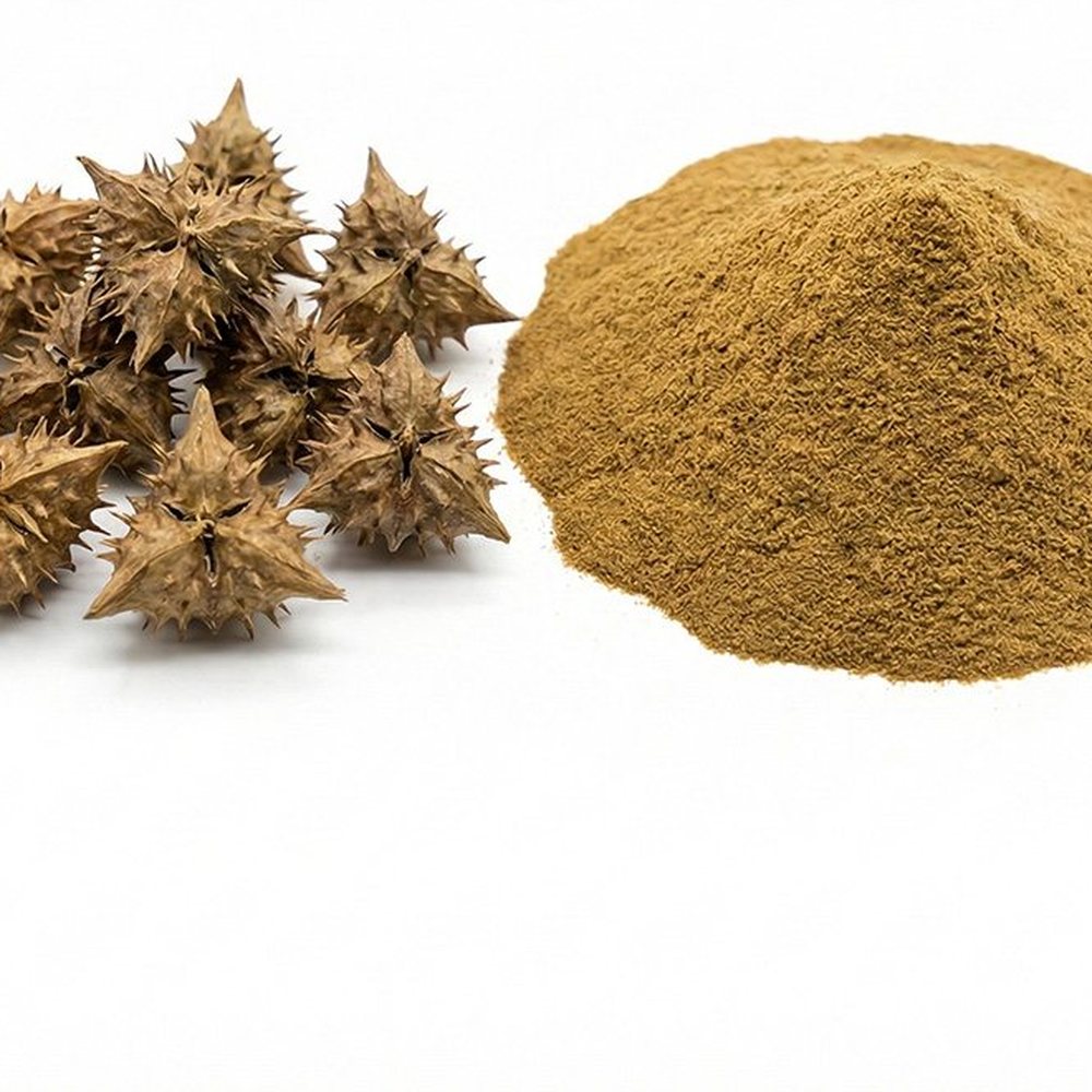 蒺藜提取物 Botanical Ingredient