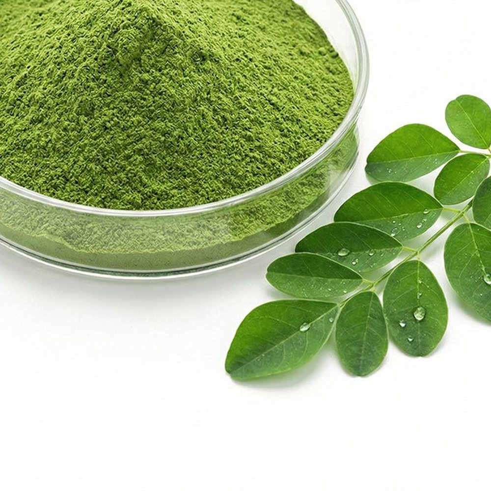 辣木粉提取物 Botanical Ingredient
