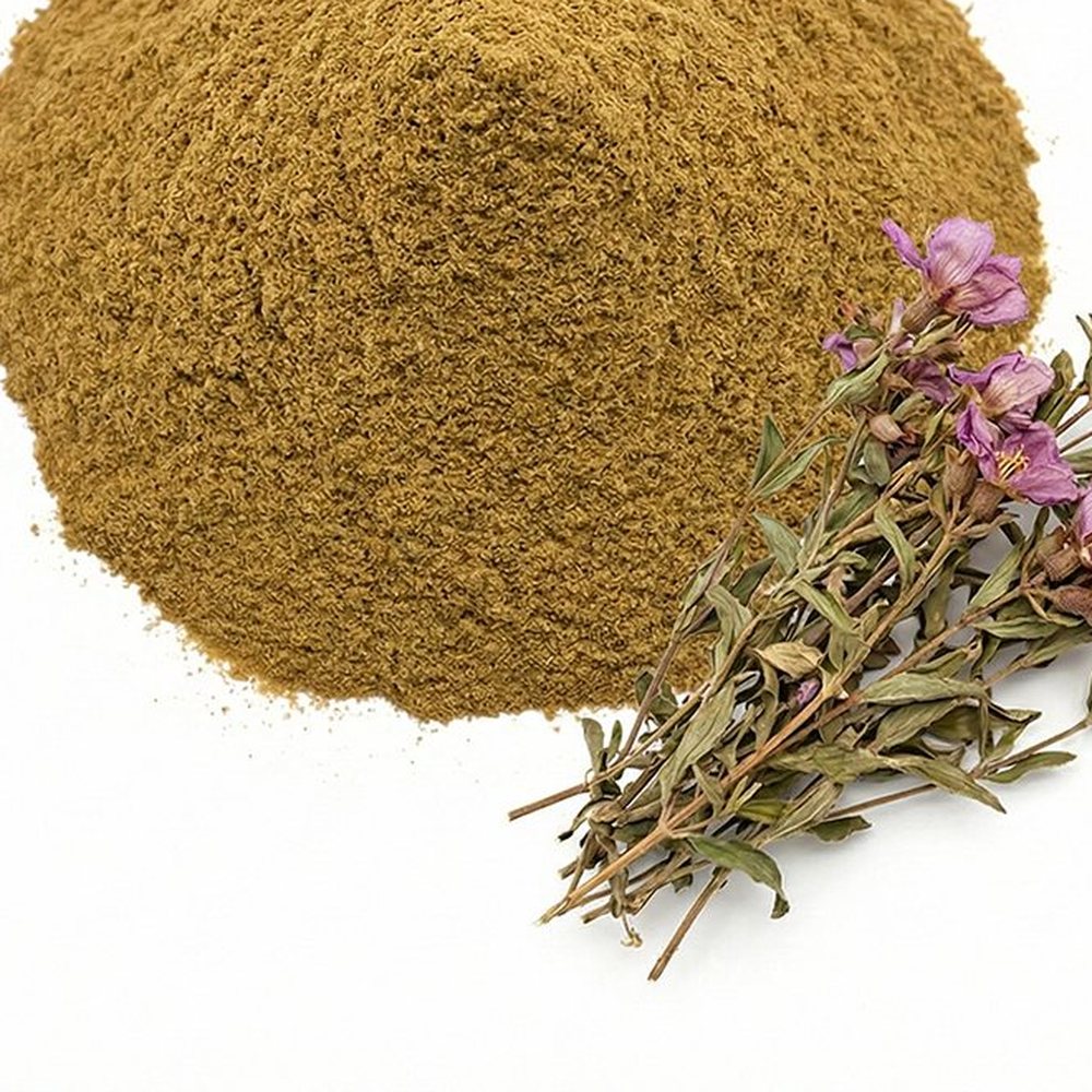 龙骨草提取物 Botanical Ingredient