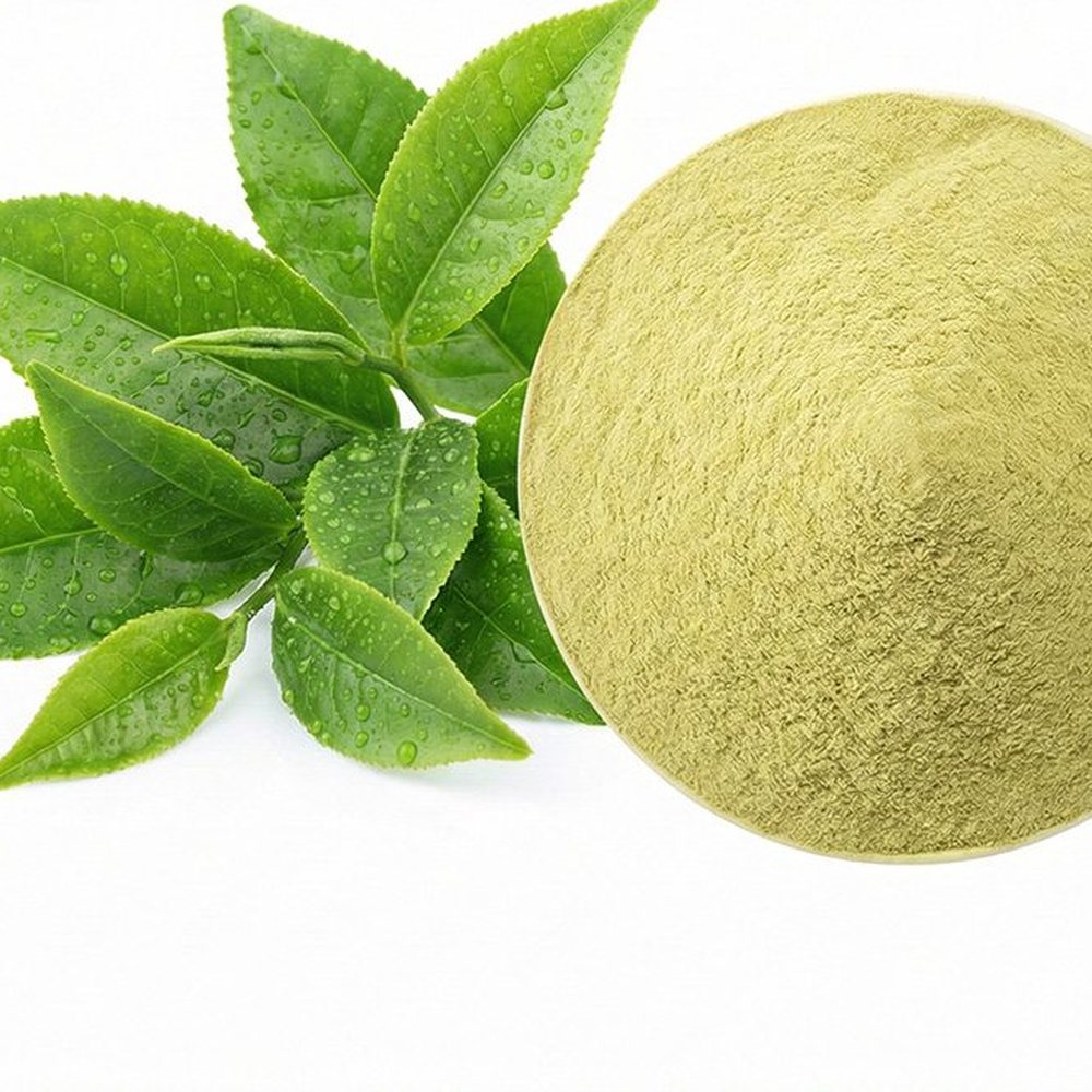 绿茶-提取物 Botanical Ingredient