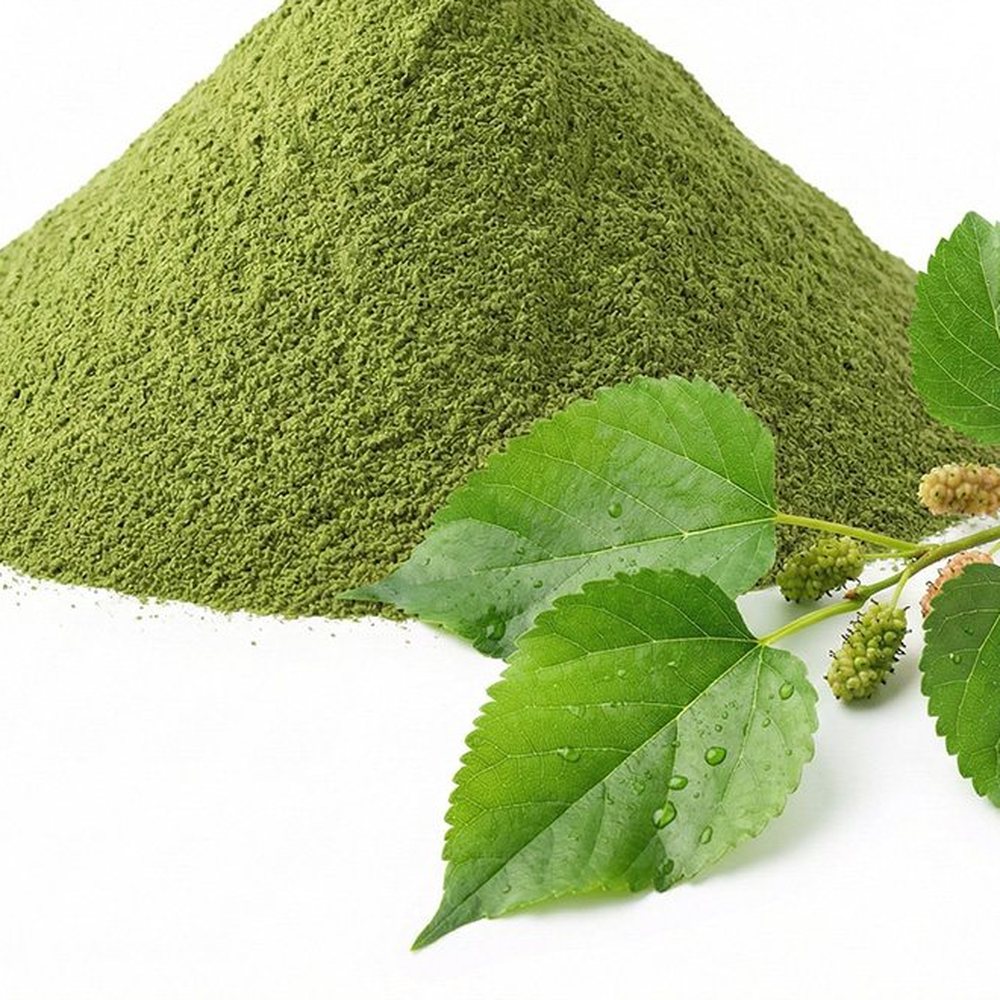 桑叶粉 Botanical Ingredient