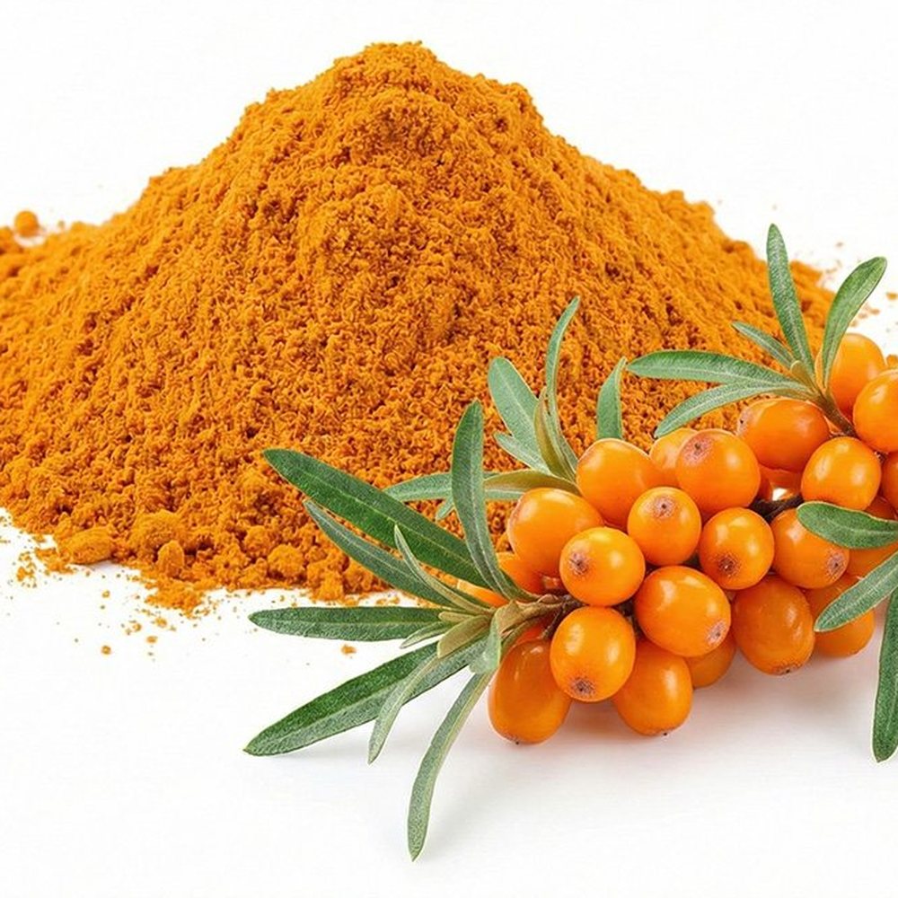 Sea Buckthorn Fruit Powder