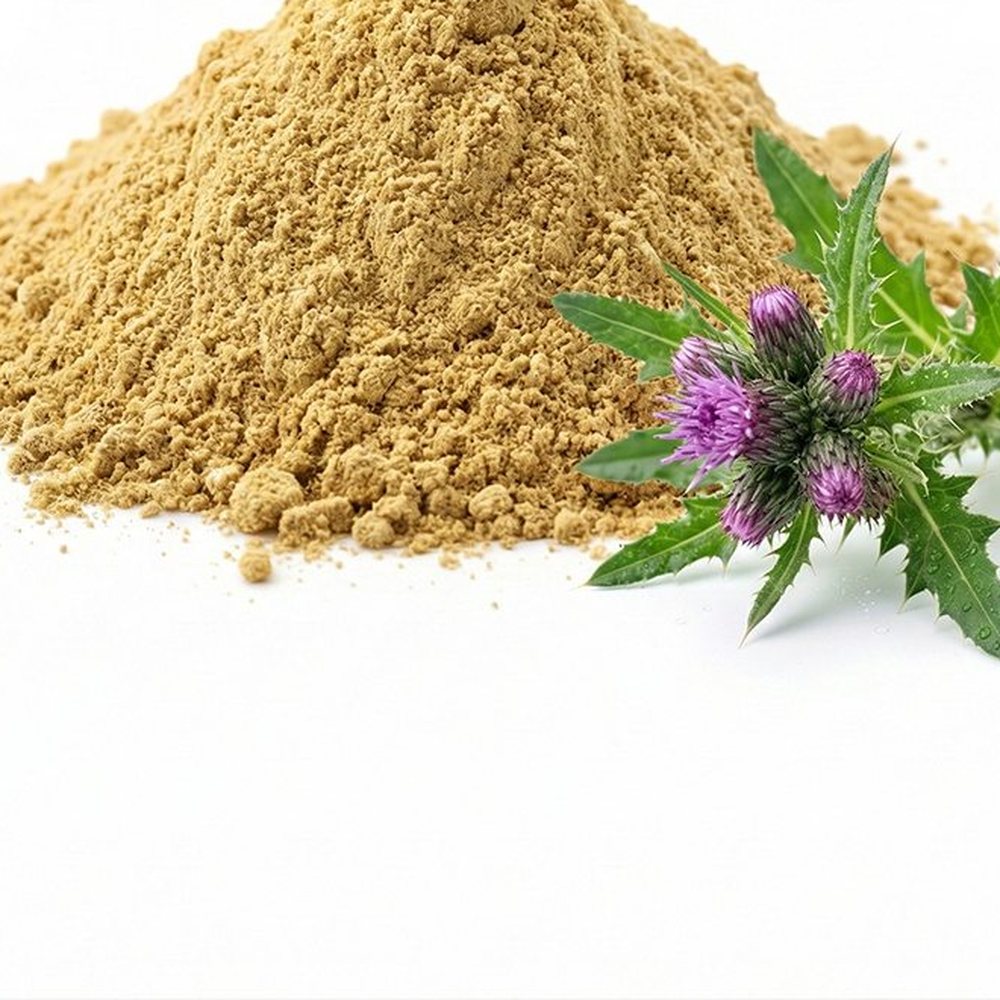 小蓟提取物 Botanical Ingredient