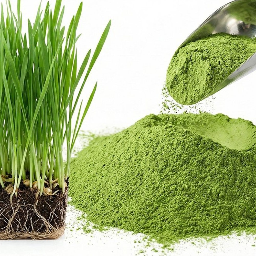 小麦苗粉 Botanical Ingredient