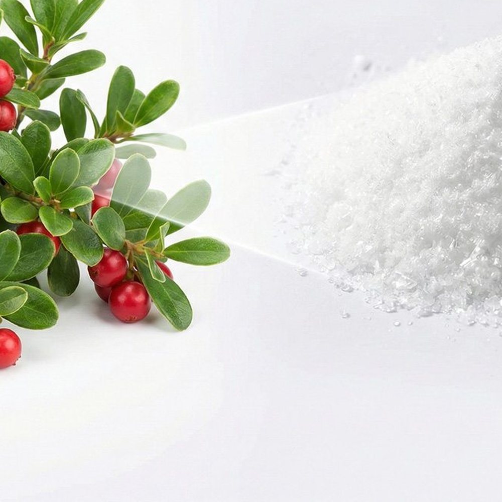 熊果苷 Botanical Ingredient