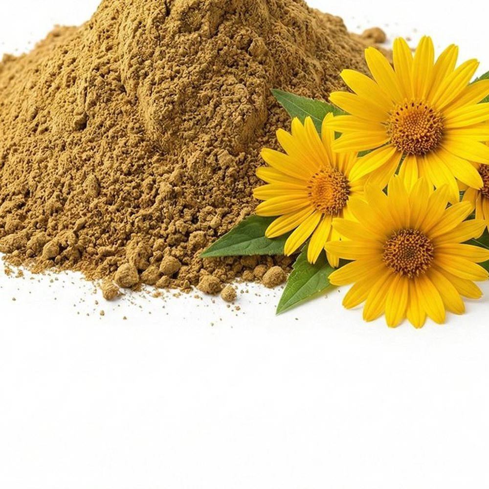 旋覆花提取物 Botanical Ingredient