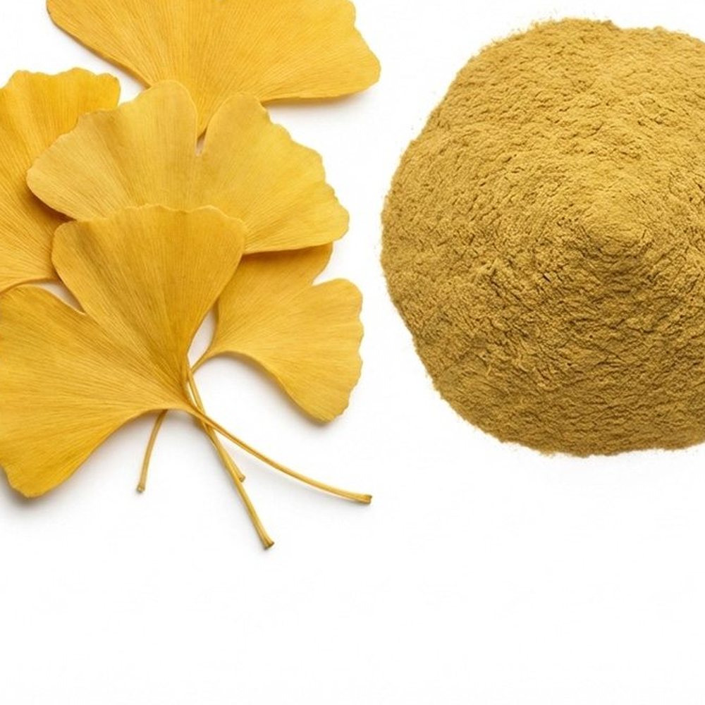 银杏叶-提取物 Botanical Ingredient