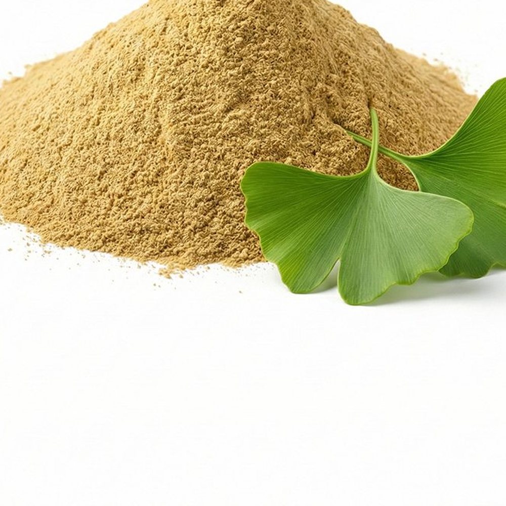 Ginkgo Biloba Extract